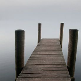 Een sprong in de diepte sur Merijn Ruijter