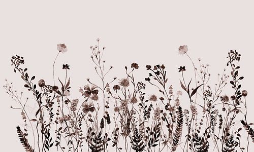 Wildflower Meadow Brown Summer Creme