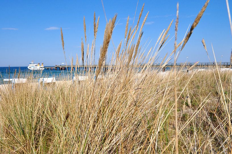 Ausflugsschiff vor der Seebrücke in Göhren auf Rügen von GH Foto & Artdesign