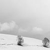 Schwarz Weiss Panorama Schnee Tirol von Andreas Friedle