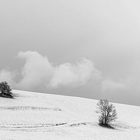 Panorama noir et blanc de la neige Tyrol sur Andreas Friedle