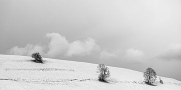 Zwart Wit Panorama Sneeuw Tirol van Andreas Friedle