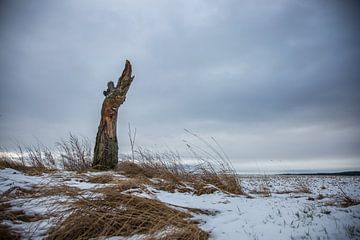 Tote Baum von Sergej Nickel