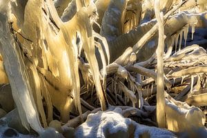 Ice sculpture