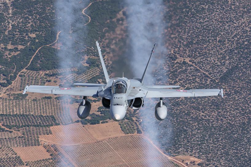 Schweizer McDonnell Douglas F/A-18C Hornet. von Jaap van den Berg