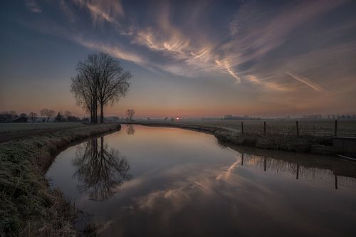 Reflectie boom