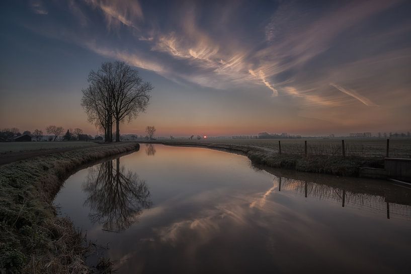 Reflection tree by Moetwil en van Dijk - Fotografie