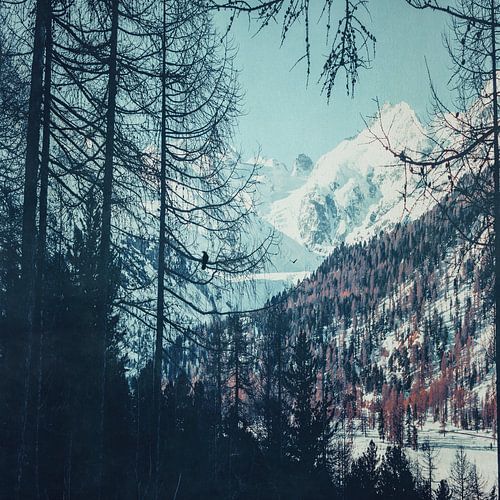 Kom terug - Majestueuze besneeuwde bergen