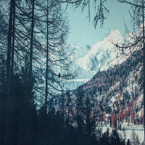 Come Back - Majestic snow-covered mountains by Dirk Wüstenhagen