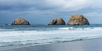 Oregon (US)-Küste bei Cape Lookout von Rob IJsselstein Miniaturansicht