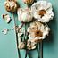 Droogbloemen