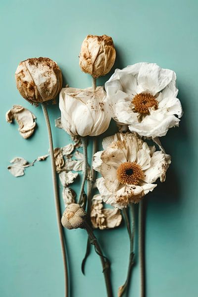 Dry Flowers On Turquoise Background by Treechild