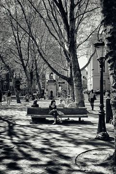 Straatfotografie Utrecht.Een lommerrijke Mariaplaats te Utrecht in zwart-wit (Utrecht2019@40mm nr 85 van De Utrechtse Grachten