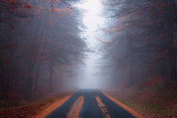 Road to the Unknown