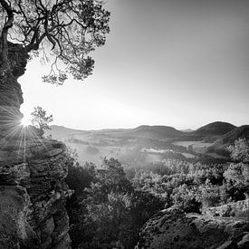 Pfäzer forest at sunrise in black and white. by Manfred Voss, Schwarz-weiss Fotografie