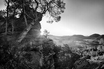 Pfäzer Wald zum Sonnenaufgang in schwarzweiss. von Manfred Voss, Schwarz-weiss Fotografie