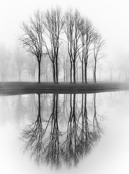 Mirrored trees by Karel Ton
