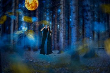 Dreamscape #4 Vrouw in een duister woud onder de volle maan van Laura van der Burgt