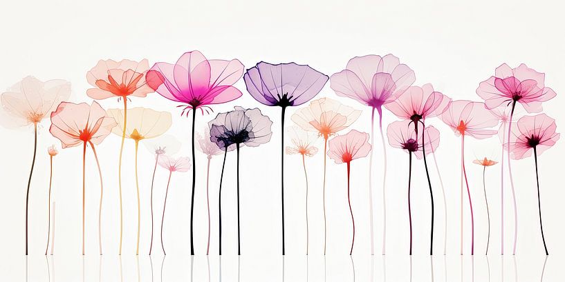 Mohnblumen von Imagine