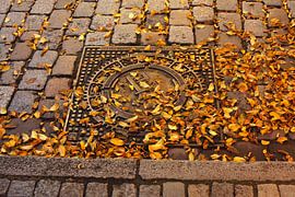 Bremen key on canal lid with yellow autumn foliage and kerbs, Bremen, Germany I Coat of arms on an I