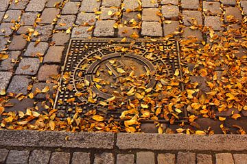 Bremer sleutel op kanaaldeksel met geel herfstblad en stoepranden, Bremen, Duitsland I Wapen op een 