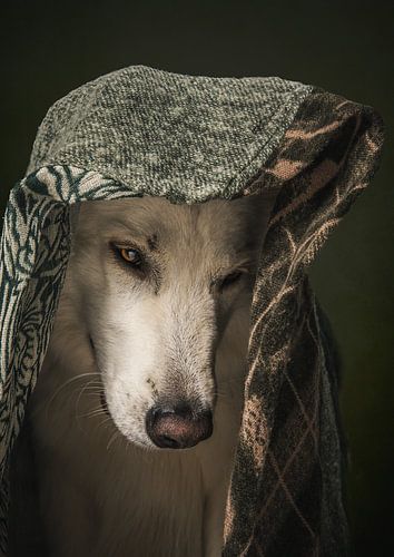 Thoughts van natasja noordervliet