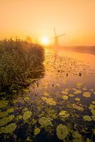 Molen in de mist op een zonnige ochtend
