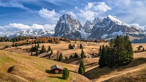 L'Alpe di Siusi en automne sur Achim Thomae