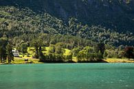 Fluss in Norwegen von Karijn | Fine art Natuur en Reis Fotografie Miniaturansicht