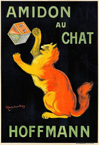 Leonetto Cappiello - Amidon Au Chat