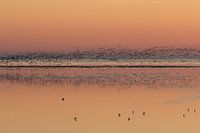 Sonnenuntergang auf dem Wattenmeer bei Ameland