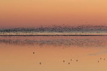 Coucher de soleil sur la zone de marée près d'Ameland