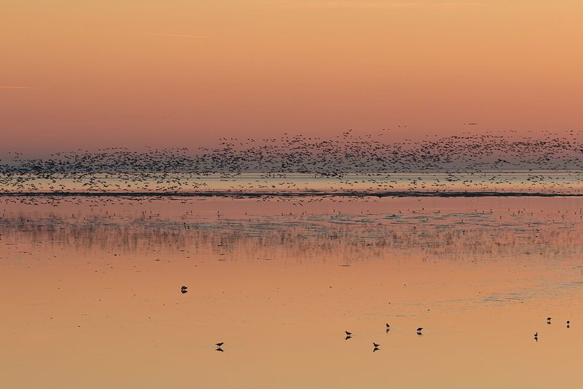 Sunset on the mudflats near Ameland by Johanna Oud