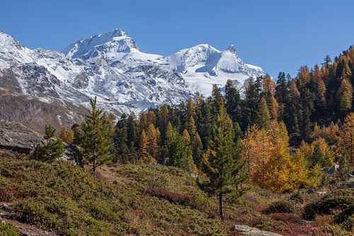 Findelntal mit Rimpfischhorn und Strahlhorn, Zermatt, Schweiz
