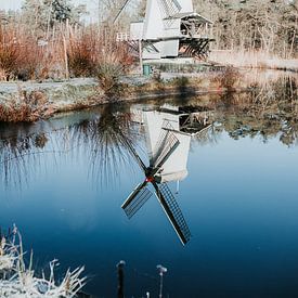 Mühle in Winterlandschaft mit Spiegelung im See - Freilichtmuseum Arnheim, Niederlande von Trix Leeflang