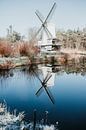 Moulin dans un paysage d'hiver avec reflet dans le lac - Musée en plein air d'Arnhem, Pays-Bas par Trix Leeflang Aperçu