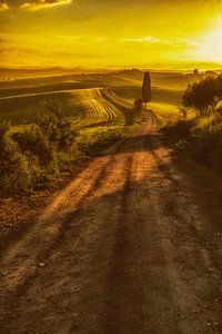 Toscaans Licht