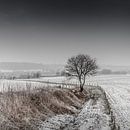 Border line von Ruud Peters Miniaturansicht