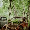 Cimetière de voitures Bastnäs Suède, vieille coccinelle volkswagen sur Wendy Van Oenen
