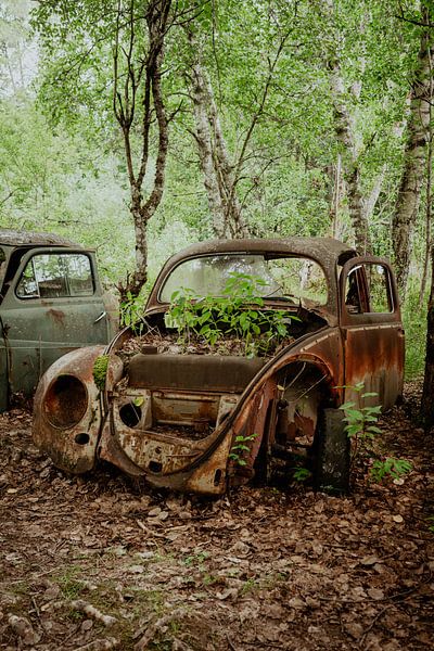 Autokerkhof Bastnäs Zweden, oude volkswagen kever van Wendy Van Oenen