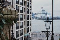 De natuur en de haven.