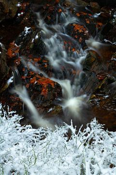Winter en herfst in één beeld, sneeuw en herfstkleuren bij een klein watervalletje op de Hoge Venen. van Jos Pannekoek