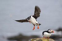 Vous êtes à ma place !