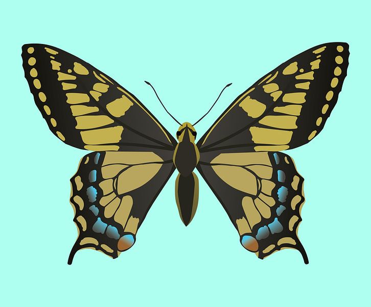 Swallowtail. Digital illustration by Bianca Wisseloo