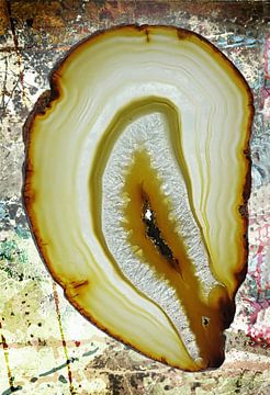 The beauty of Agate stone . van Saskia Dingemans Awarded Photographer