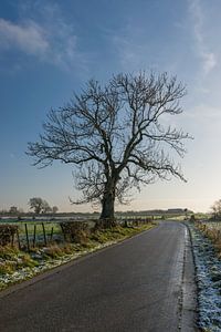 Sonniger Wintertag