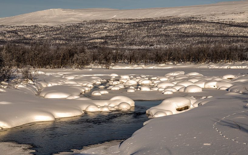 Winter in Finland van Adelheid Smitt