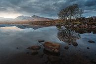 Rannoch Moor von Markus Stauffer Miniaturansicht