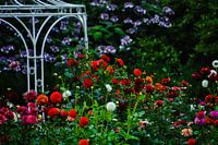 Flower Garden