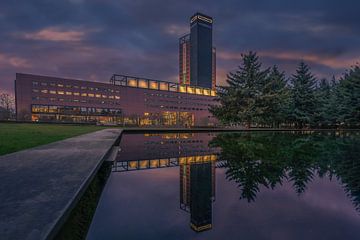 Tilburg, interpolis garden by Dennis Donders